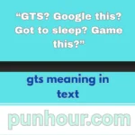 gts meaning in text