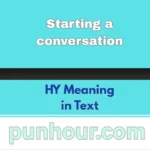 HY Meaning in Text