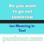 ion Meaning in Text