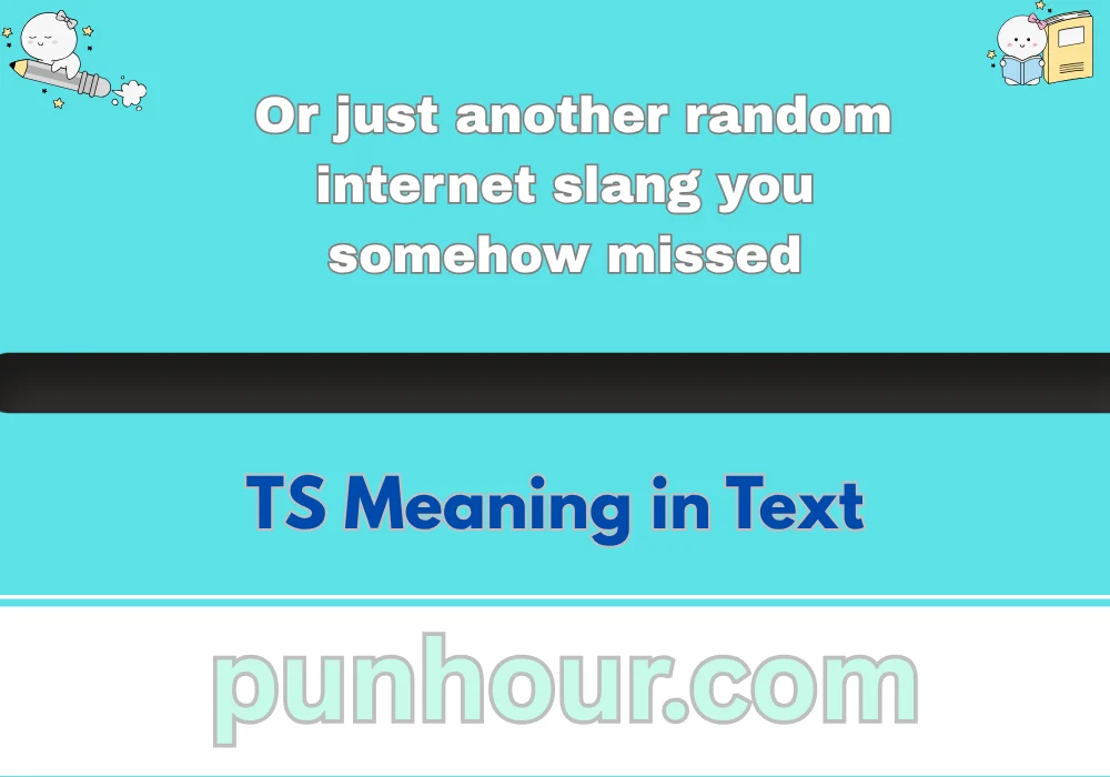 TS Meaning in Text