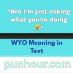 WYO Meaning in Text