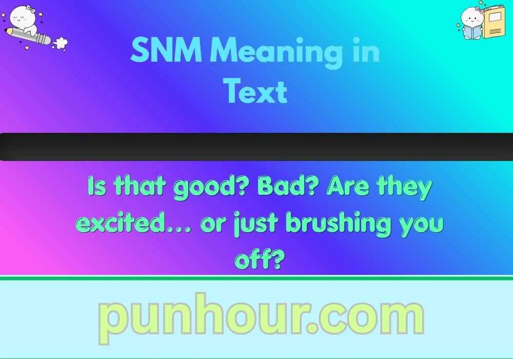 SNM Meaning in Text